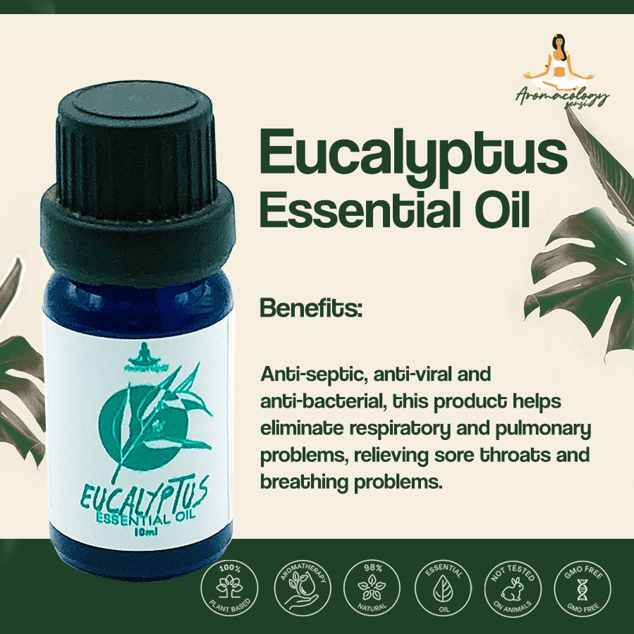Eucalyptus